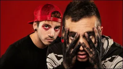 Twenty One Pilots est un groupe de musique :