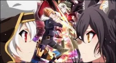 Quand "Chaos Dragon" a-t-il été diffusé pour la première fois en anime ?