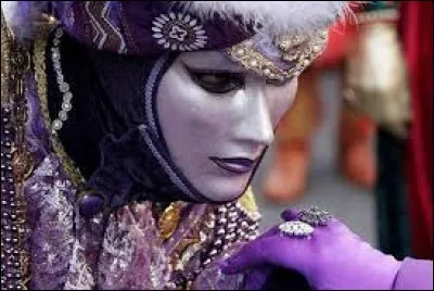 Insecte coléoptère noir ou bleu, à élytres très courts :