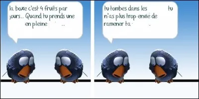 Touche d'humour. Quels sont les fruits pr&eacute;f&eacute;r&eacute;s des boxeurs !?