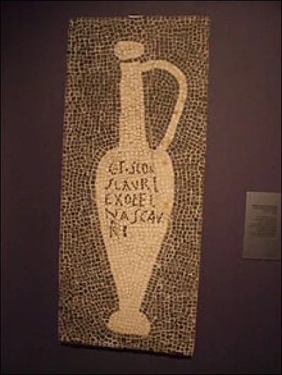 Comment s'appelle cette sauce obtenue par macération du poisson dans le sel, très en vogue chez les Romains ?