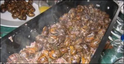 Les Carolingiens mangeaient déjà des escargots engraissés au lait, mais aussi quelles autres recettes de bestioles que l'on aurait du mal à consommer de nos jours?