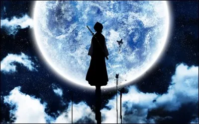 Arrives-tu à savoir à qui appartient cette silhouette et à quel univers elle appartient ?