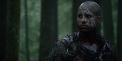 Dans combien d'épisodes a-t-on vu le personnage de Lincoln ?