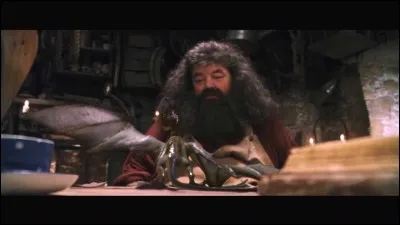 Comment s'appelle le dragon élevé par Hagrid ?