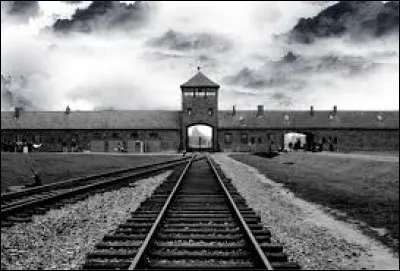 Hitler considère que le peuple allemand est meilleur que les autres. Pour le purifier, il déporte alors des millions de personnes dans des camps ; comment s'appellent ces camps ?