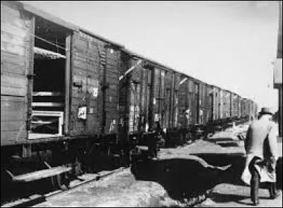 Qui sont les principales personnes déportées et placées dans ces camps ?