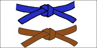 La ceinture marron vient après la bleue.