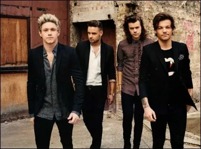 En quelle année le groupe s'est formé ?