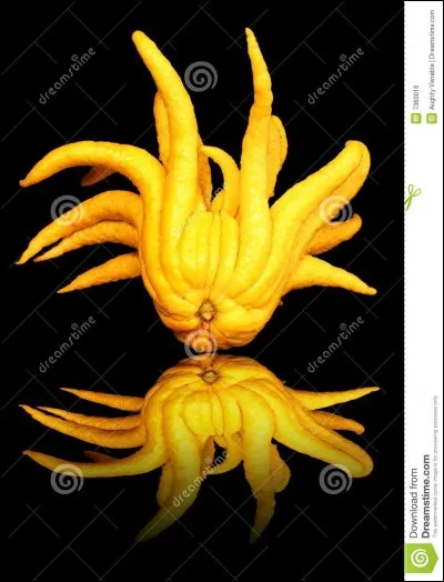 Ce fruit est...