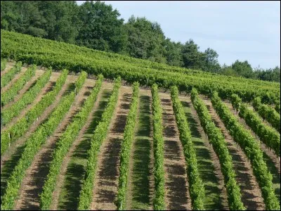 La ville de Lembeye où vous verrez une belle porte de ville est située dans :