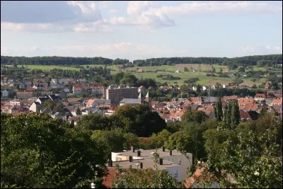 Votre tante Michèle vous invite pour ses noces d'or,elle habite Sarrebourg,c'est à dire :