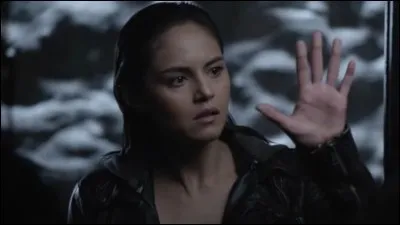 Qui est-ce ? (ses caractéristiques)