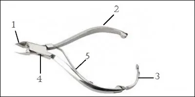 Quels sont les éléments correspondant à la pince à envies ?