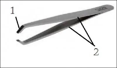 Quels sont les éléments correspondant à la pince à épiler ?