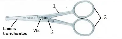 Quels sont les éléments correspondant aux ciseaux ?