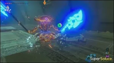 Comment s'appelle ce gardien ?