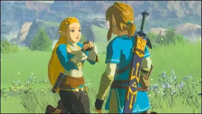 Quelle question Zelda pose à Link ?