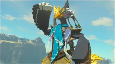 Quel pouvoir nous donne Revali une fois libéré ?