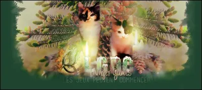 Comment est Nuage Ailé ?