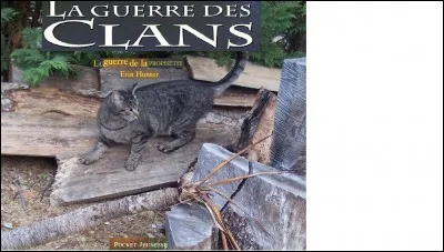 Qui est la mère de Feuille de Houx, il de Geai et de Pelage de Lion ?