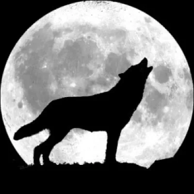 En ombre chinoise, un loup hurlant à la lune. Dans sa forme anglaise et germanique, wolf, le loup a donné naissance à plusieurs prénoms, lesquels ?