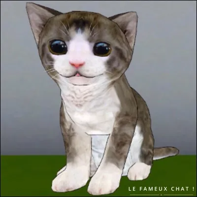 Et bien évidemment, la question fatidique ! 
Comment s'appelle le chat dans "Yandere Simulator" ?
