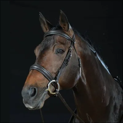 Comment appelle-t-on ce qui est sur l'image ?