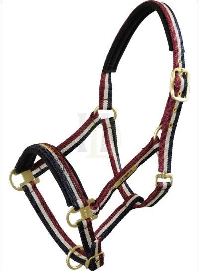 Comment appelle-t-on ce qui est sur l'image ?