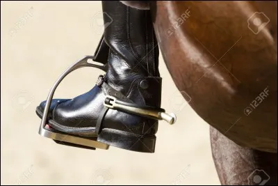 Comment appelle-t-on ce qui est sur l'image ?