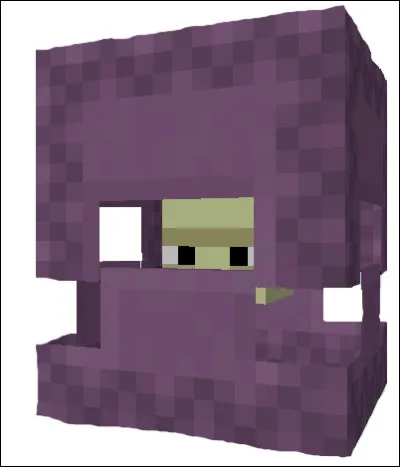 Où se trouvent les Shulkers ?