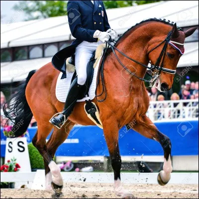 Citez l'aide naturelle.