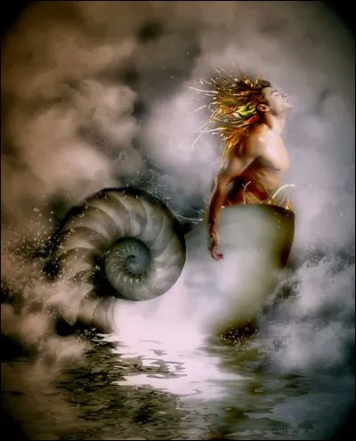 Qui est ce jeune dieu frère des cinquante Néréides ?