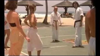 Dans le film &laquo; les bronz&eacute;s &raquo;, Popeye explique que &laquo; mawashi geri &raquo; est un coup de pied. Mais de quel type de coup de pied s'agit-il ?