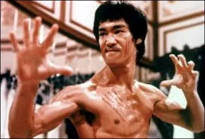 On encha&icirc;ne avec le kung-fu. Bruce Lee a certainement r&eacute;volutionn&eacute; le kung Fu au cin&eacute;ma. Quel &eacute;tait le surnom de Bruce Lee ?