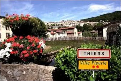De quoi Thiers, dans le Puy-de-Dôme est-elle la capitale française ?