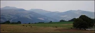 Petite question d'orthographe. Le plateau basaltique à faible pente qui résulte de l'érosion des laves sur les flancs d'un volcan porte le nom de ...