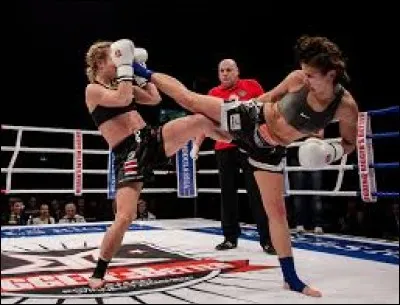 Le kick-boxing s'est créé au cours des années 60, parallèlement dans deux pays, ayant chacun développé ses propres styles et techniques. Quel pays est l'intrus ?