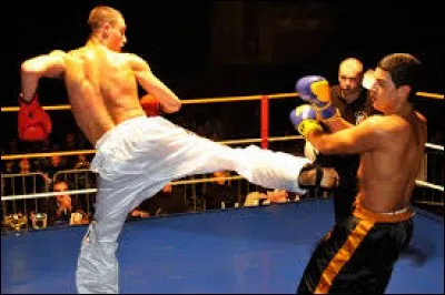 D'où provient le full-contact, discipline appartenant au domaine de la "boxe pieds-poings" ?