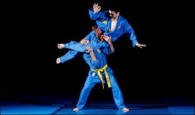 Duquel de ces pays d'Asie du Sud-Est, le viet vo dao est-il originaire ?