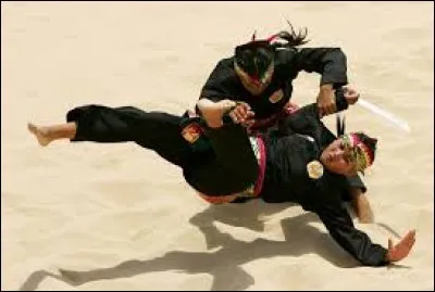 Avez-vous déjà entendu parler du "pencak-silat" ? Cet art martial très ancien comprend diverses techniques de combat à mains/pieds nus et maniement d'armes blanches. D'où cela vient-il ?