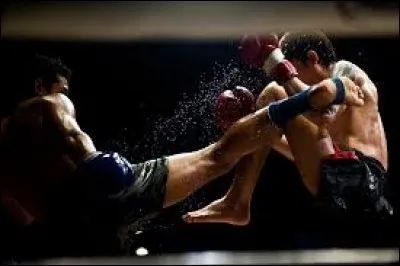 Le muay-thaï est une célèbre discipline dans le domaine de la boxe pieds-poings. Cet art redoutable permet aussi l'emploi des genoux et des coudes. Ce sport de combat est originaire de ...