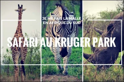 O&ugrave; est situ&eacute; le parc Kruger en Afrique-du-Sud ?