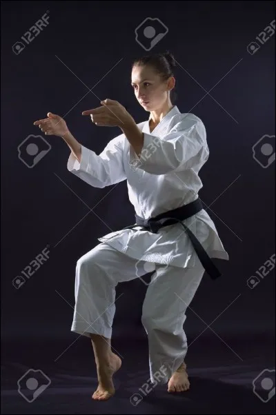 Les grands karatékas peuvent briser un rocher à mains nues.