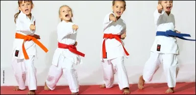 En karaté, la plus basse ceinture après la blanche est ----.