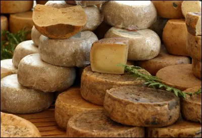 L'Ossau-Iraty, l'Idiazabal et le fromage de Roncal sont tous trois à base de lait de brebis. Mais d'où le Roncal tient-il son nom ?