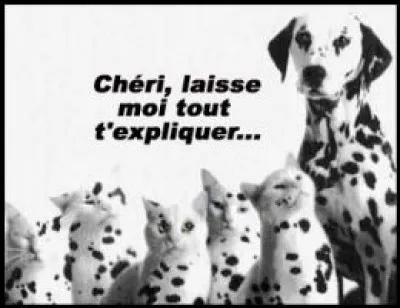Votre belle-mère vous affirme que son dalmatien est né sans taches noires.