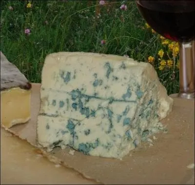 Ce fromage est :
