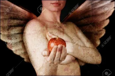 9 mois de vacances, mais où !?