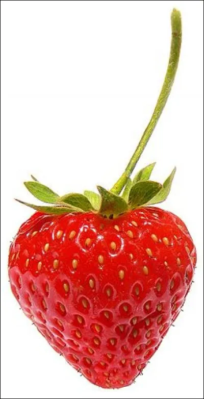 C'est la saison de la fraise qui commence. Que peut désigner aussi ce mot ?